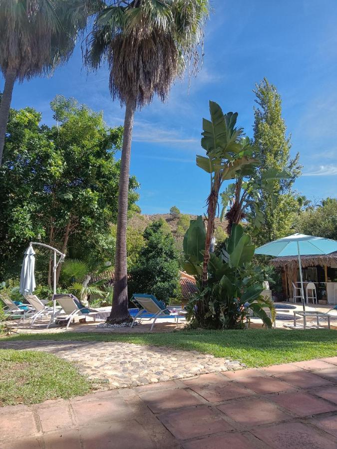 La Fuente Oase B&B Coín Eksteriør billede