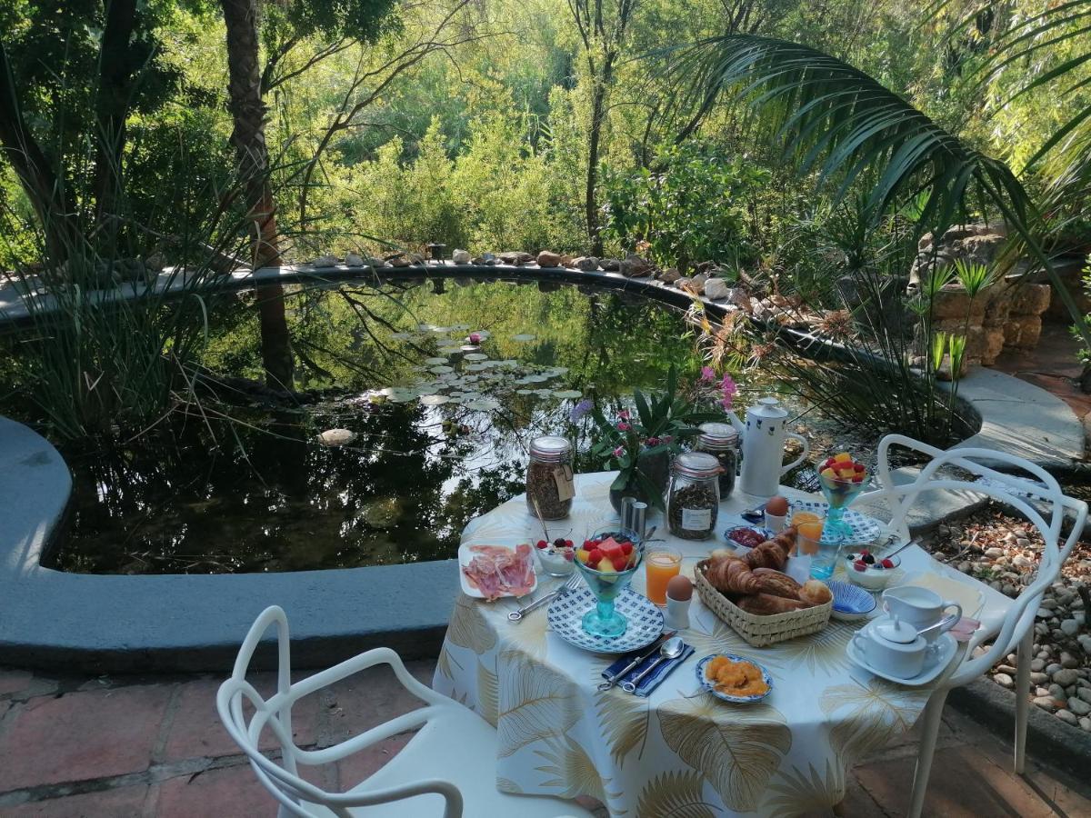 La Fuente Oase B&B Coín Eksteriør billede